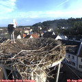 07_40-nest.jpg