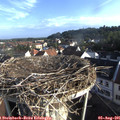 07_45-nest.jpg