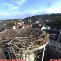 07_50-nest.jpg