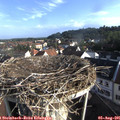 07_55-nest.jpg