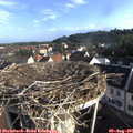 08_00-nest.jpg
