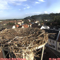08_05-nest.jpg