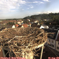 08_10-nest.jpg