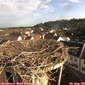 08_15-nest.jpg