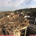 08_20-nest.jpg