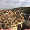 08_25-nest.jpg