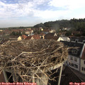 08_30-nest.jpg