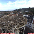 08_35-nest.jpg