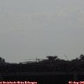 08_40-mast.jpg