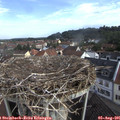 08_40-nest.jpg