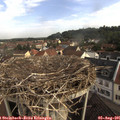 08_45-nest.jpg