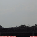 08_50-mast.jpg