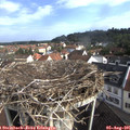 08_50-nest.jpg