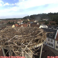 08_55-nest.jpg