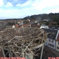 09_00-nest.jpg