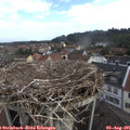 09_05-nest.jpg