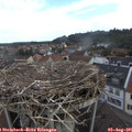 09_15-nest.jpg