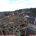 09_20-nest.jpg
