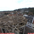 09_25-nest.jpg