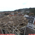 09_30-nest.jpg
