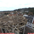 09_35-nest.jpg