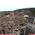 09_55-nest.jpg