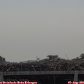 10_00-mast.jpg