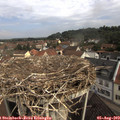 10_00-nest.jpg