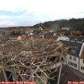 10_05-nest.jpg