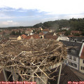 10_10-nest.jpg