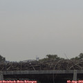 10_15-mast.jpg