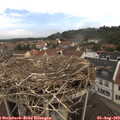 10_15-nest.jpg