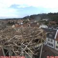 10_20-nest.jpg