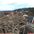 10_25-nest.jpg