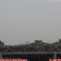 10_30-mast.jpg
