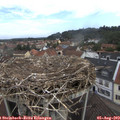 10_30-nest.jpg