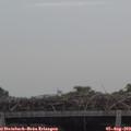 10_35-mast.jpg