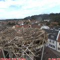10_35-nest.jpg
