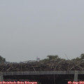 10_40-mast.jpg