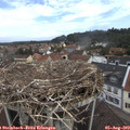 10_40-nest.jpg