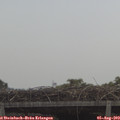 10_45-mast.jpg