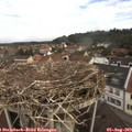 10_55-nest.jpg