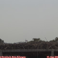 11_00-mast.jpg