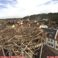 11_00-nest.jpg