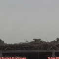 11_05-mast.jpg
