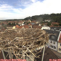 11_10-nest.jpg