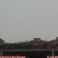 11_20-mast.jpg