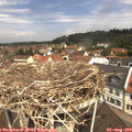 11_20-nest.jpg