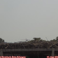 11_25-mast.jpg