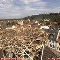 11_30-nest.jpg